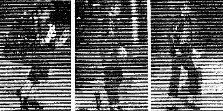 Reflections of a Boy Gone Bad - Image